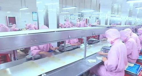 兆輝食品攜旗下素范兒品牌誠邀您共赴第七屆京津冀餐飲供應鏈博覽會